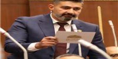 مُطالبات لرئيس مجلس الشيوخ للتحقيق في تصريحات النائب الفنان ياسر جلال بشأن الصاعقة الجزائرية في ميدان التحرير