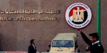 في غياب الحبر الفسفوري.. الهيئة الوطنية للانتخابات: إجراءات صارمة تضمن نزاهة الانتخابات
