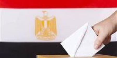 7 حالات تبطل الصوت الانتخابي.. تفاصيل