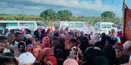 استمرار الإقبال على لجان سيوة في انتخابات النواب 2025