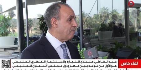 وزير الخارجية: مصر تبذل جهودًا مكثفة لتثبيت اتفاق وقف إطلاق النار في غزة