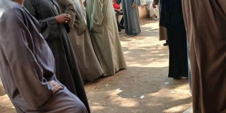 استمرار توافد الناخبين على اللجان في المنيا للتصويت في انتخابات مجلس النواب