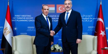 وزير الخارجية: القيادة السياسية المصرية حريصة على تعزيز التعاون المشترك مع تركيا في مختلف المجالات