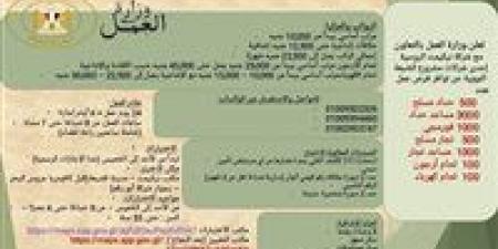 وزارة العمل توفر 6200 فرصة عمل جديدة بمشروع الضبعة النووي بالتعاون مع شركة بتروجيت