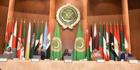 أبو الغيط: الشعب الفلسطيني تعرض لأبشع الجرائم والأفعال المنافية للإنسانية والأخلاق من محتلّ غاشم لا يحترم القانون الدولي