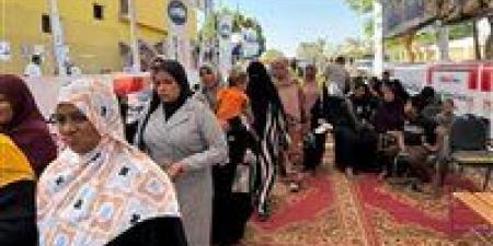 جولة إعادة لـ 4 مترشحين في إمبابة بين المليجى والخولى وعبد القادر والعجوز