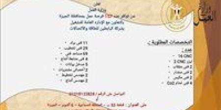 157 فرصة عمل جديدة بمحافظة الجيزة بالتعاون مع شركة البابطين للطاقة والاتصالات.. اعرف شروط التقديم