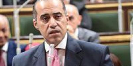 الوزير فوزي: انتظام تشكيل المجالس النيابية ثلاث دورات متتالية يعكس رسوخ الديمقراطية في مصر