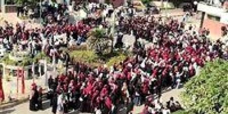 أغلبها جولات إعادة.. نتائج المرحلى الأولى من انتخابات مجلس النواب في محافظة المنيا