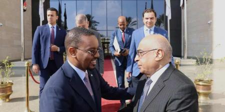 وزير العدل يستقبل نظيريه الصومالي والسوري