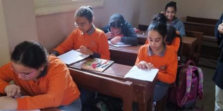 رابط التقييمات الأسبوعية لطلاب المرحلة الابتدائية: كل ما يحتاجه أولياء الأمور والطلاب