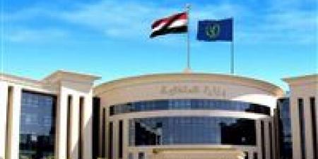 الداخلية تكشف حقيقة فيديو «بلطجى الدقهلية» وسرقة كاميرات المراقبة