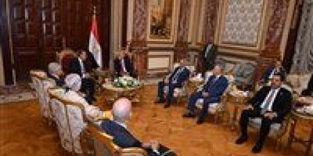 عبد العاطي أمام مجلس الشيوخ: السياسة المصرية تتصدر جهود الأمن الإقليمي والدبلوماسية البرلمانية