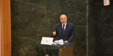 أبو الغيط: تواجه الأرشيفات العربية من محاولات طمس هويتها وتزوير مضمونها التاريخي وتشويه التراث الفكري للأمة العربية