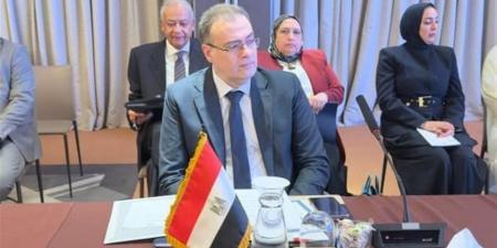 مصر تدعو لإنشاء منصة لتبادل تجارب الإدارة العامة والتحول الرقمي في العالم العربي