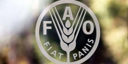 "فاو": 87% من الأراضي الزراعية في غزة تضررت بالكامل