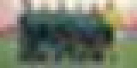 المنتخب الوطني المحلي ينهزم بثلاثية لهدفين في المباراة الودية أمام المنتخب المصري