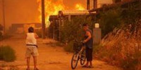 حرائق غابات الجزائر: النيران تلتهم 11 ولاية ونداء عاجل من السلطات