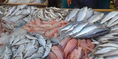 أسعار الأسماك بسوق الغردقة اليوم السبت 15 نوفمبر 2025