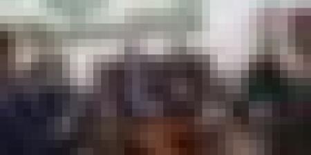 انعقاد الدورة 13 للجنة المشتركة الجزائرية–الفيتنامية بين16و 20 نوفمبر بالجزائر