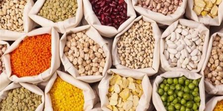 أسعار البقوليات بأسواق البحر الأحمر اليوم السبت 15 نوفمبر 2025