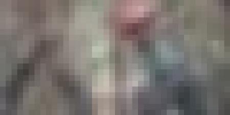 الحالة العامة لحرائق الغطاء النباتي بثلاث ولايات