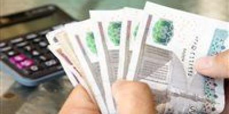 هتحصل على 3033 جنيهًا شهرياً بدون وظيفية..أعلي شهادات ادخار بالبنك الأهلي