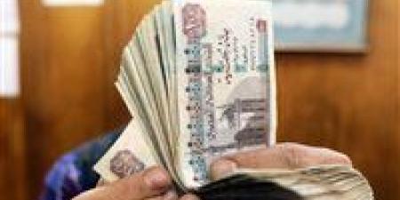2900 جنيه شهرياً من شهادات الادخار: كيف تدعم ميزانية الأسرة بعائد ثابت؟
