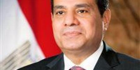 الرئيس السيسي يثمن دعم الشعب المصري وصلابته في مواجهة التحديات