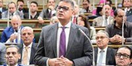 حقوق الإنسان بالنواب في اليوم العالمي للتسامح: مصر ترفع راية التعايش.. ورؤية السيسي نموذج لإنهاء الصراعات وصناعة السلام