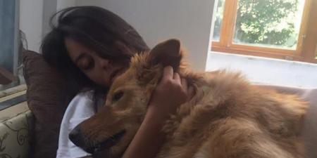 وداعا ابني الأول.. مريم الخشت تنعي كلبها بكلمات مؤثرة