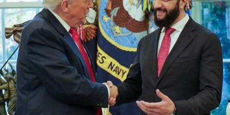 «دمشق ترتب جولة لسيد البيت الأبيض».. ترامب في زيارة مرتقبة إلى سوريا