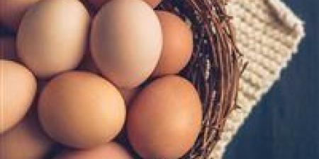 سعر طبق البيض يقترب من 100 جنيه… والمنوفي يحذّر: انهيار الأسعار يهدد خروج آلاف المربين