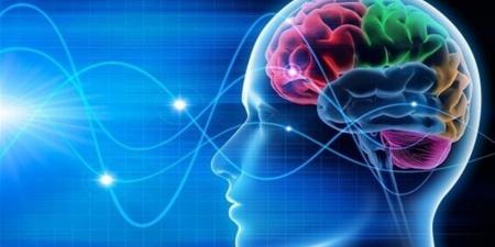 مهارة ثقافية قد تكون مفتاح حماية الدماغ والجسم من الشيخوخة