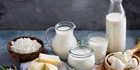 أسعار منتجات الألبان بمحافظة الغربية اليوم الثلاثاء 18 نوفمبر 2025