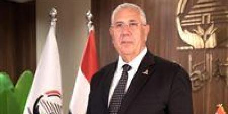 "الجبهة الوطنية": الرئيس السيسي حريص على إظهار العملية الانتخابية بصورتها الحقيقية