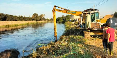 "ري الشرقية" يدفع بكراكة لتطهير مصرف السدرة بعد ظهور التماسيح