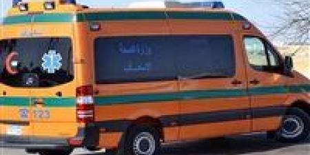 شاب يُقتل طعنًا في السابعة بحوش عيسى.. وغموض يلفّ تفاصيل اللحظات الأخيرة