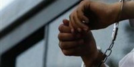 ضبط سائق ميكروباص لتعديه على مواطنة بالإسكندرية