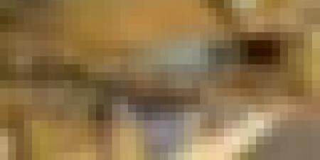 ✓انتخاب الجزائر نائباً لرئيس (SCCR) بالمنظمة العالمية للملكية الفكرية