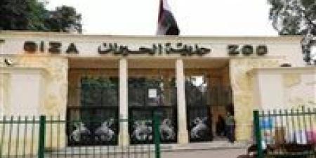 متحدث "الوزراء": أسعار تذاكر حديقتي الحيوان والأورمان سيتم إعلانها لاحقا
