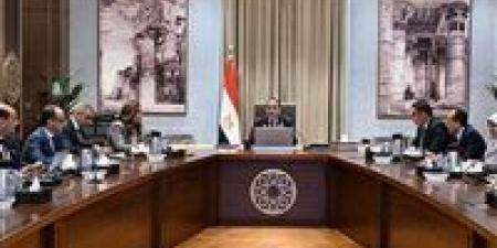 مليوني طلب تصالح.. رئيس الوزراء يستعرض الموقف حوكمة إجراءات التصالح وتقنين أراضي الدولة