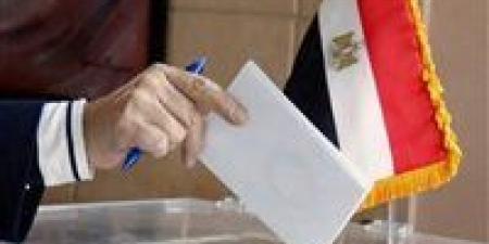 السفارة المصرية في طهران تفتح أبوابها لاستقبال الناخبين في انتخابات الدوائر المُلغاة لمجلس النواب 2025
