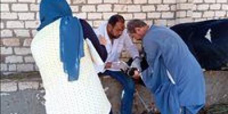 سلالة جديدة من الحمى القلاعية .. الطب البيطرى: «بنستعد» (القصة الكاملة)