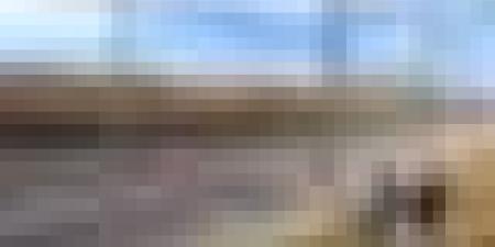 تعليمات مشدّدة لتسليم الشطر الأول من خط السكة فائق السرعة " وهران - تلمسان" في السداسي الأول من 2026