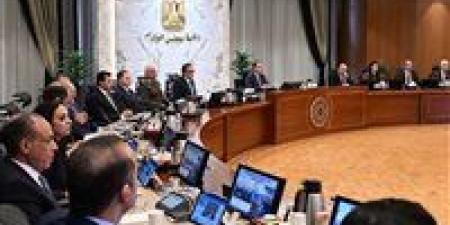 مجلس الوزراء يُوافق على استكمال إجراءات طرح محطات توليد الكهرباء بجبل الزيت