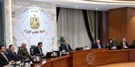 الوزراء: الوضع في سوق الصرف يشهد توافرًا واستقرارًا واضحًا للعملة الأجنبية