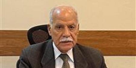 في اليوم العالمي لحقوق الإنسان.. العربي الناصري: مصر تخطو بثبات وتحديث الاستراتيجية ضرورة وطنية