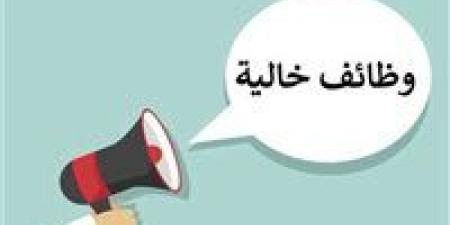 وزارة العمل تعلن عن 747 فرصة عمل جديدة في شركات خاصة بالجيزة