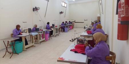 تعرف على حصاد هيئة تنمية الصعيد بمحافظة الأقصر خلال عام 2025